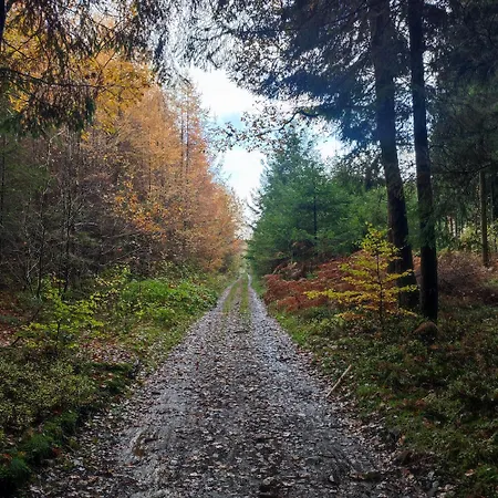 بيت للعطل Bastogne Maison De Avec Sauna *